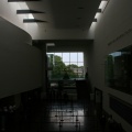 IMG 3459