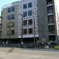 IMG 4769