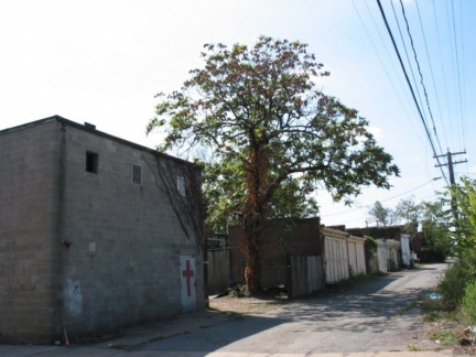 098 10 05 hull alley05