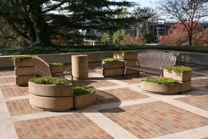 Plaza adjacent to Byrd Street