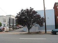 044sw24 cary241